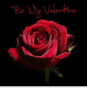 Meet your Posher, Daisey